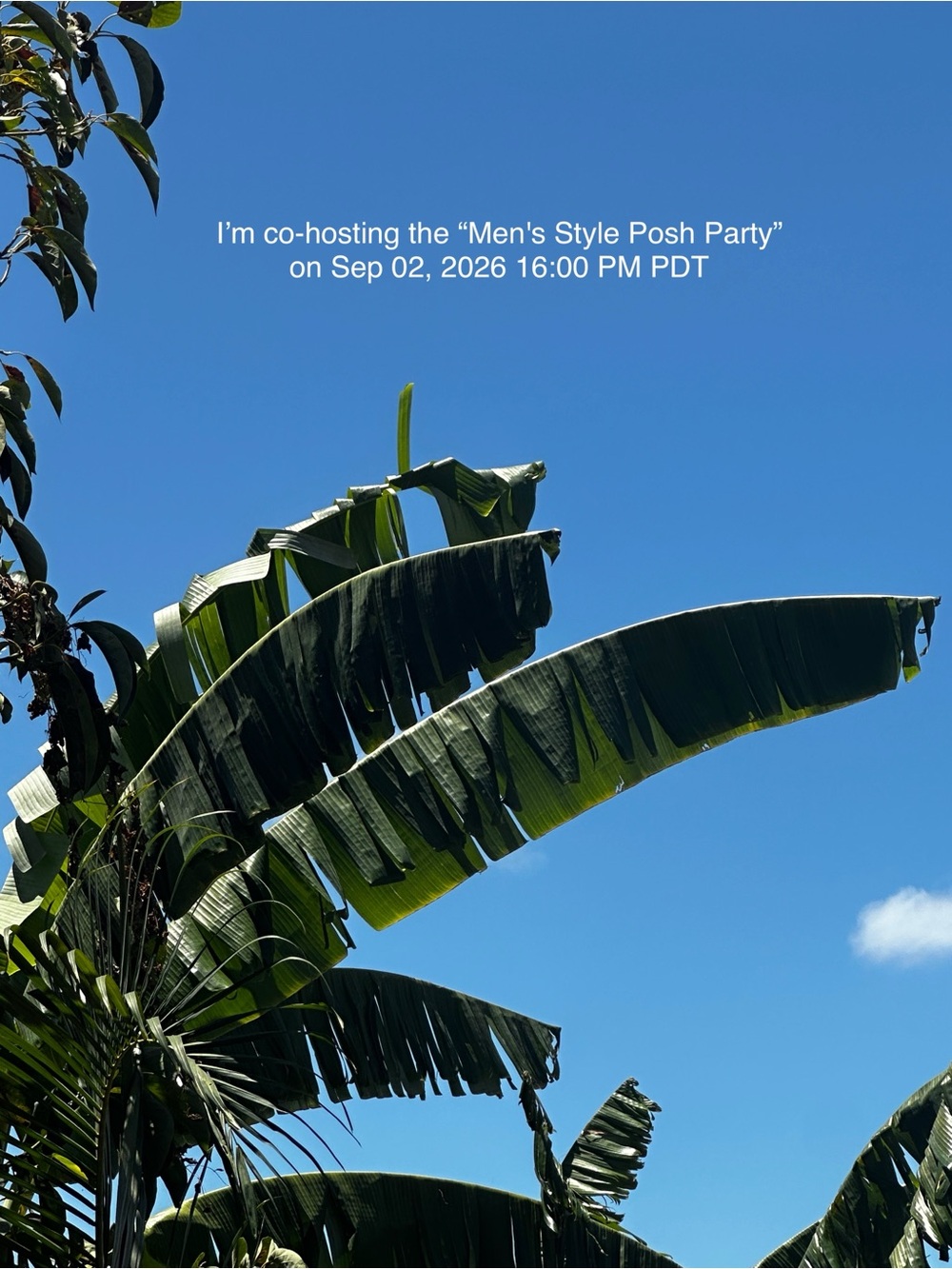 I’m co-hosting the "Men's Style Posh Party" on Sep 02, 2026 16:00 PM PDT - Picture 1 of 1